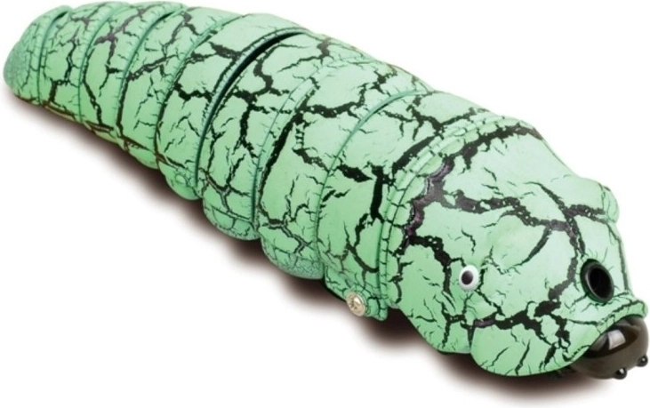 Realistlik roomamiskäitumine