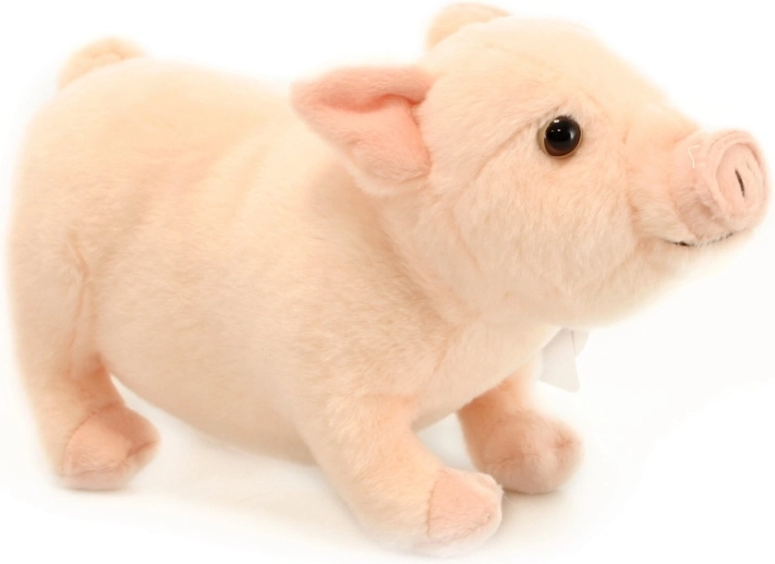 Realistlikud detailid rohkemaks lõbuks