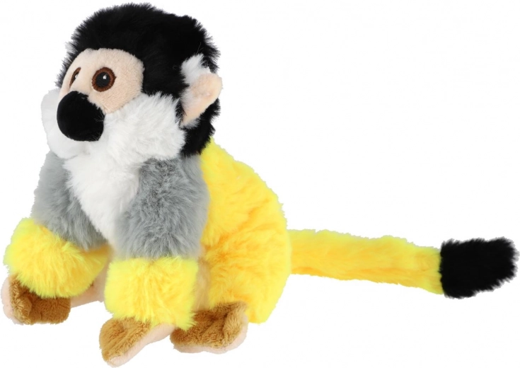 Ohutu alates sünnist (0k+)