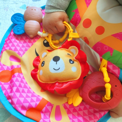 Eemaldatavad mänguasjad meelte arendamiseks