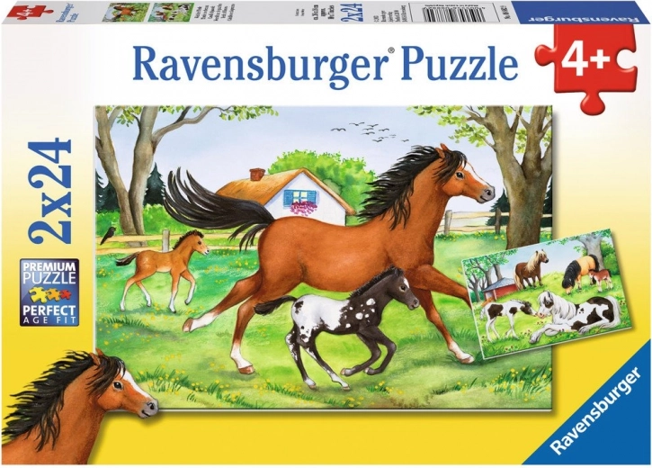 Kaks puslet ühes: 2×24 tükki