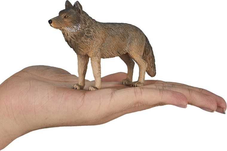 Compact hand-sized format