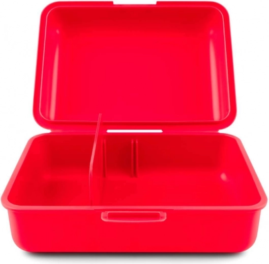 Tark jaotussein korra hoidmiseks karbis