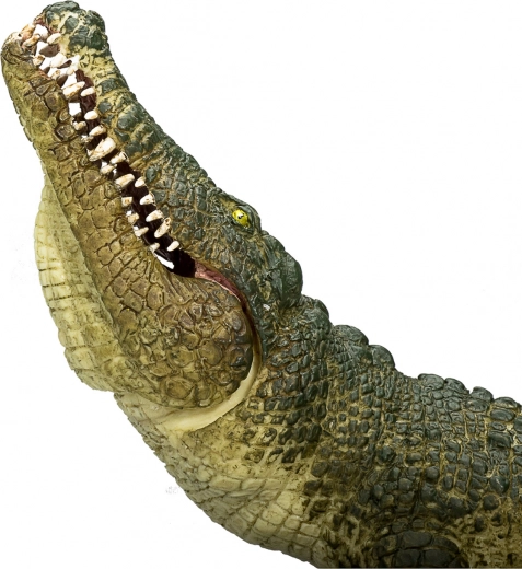 Movable Jaw