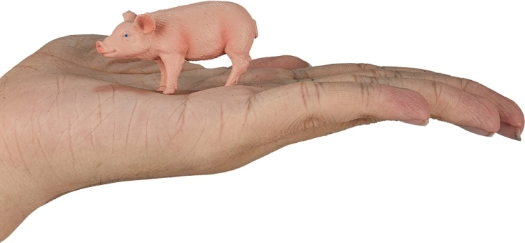 Kompaktne suurus väikesesse kätte