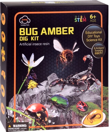 Täielik hariduslik komplekt