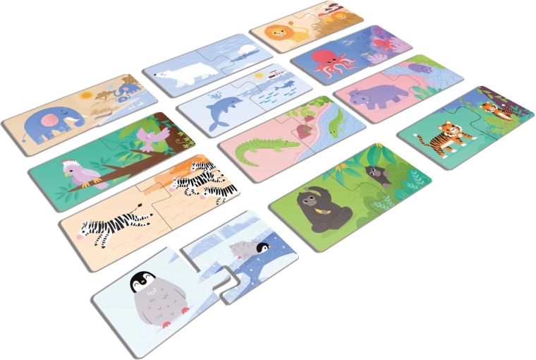 12 looma värvilised illustratsioonid