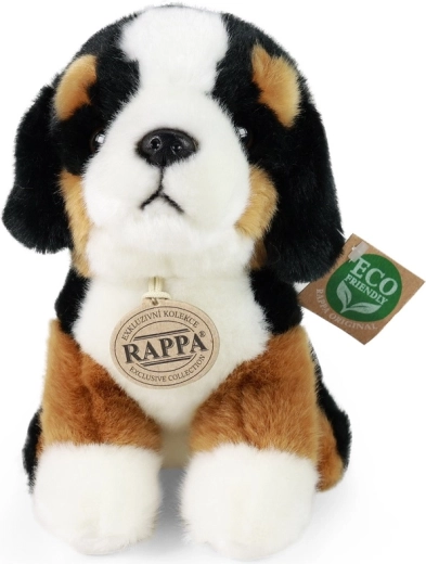 RAPPA kaubamärk