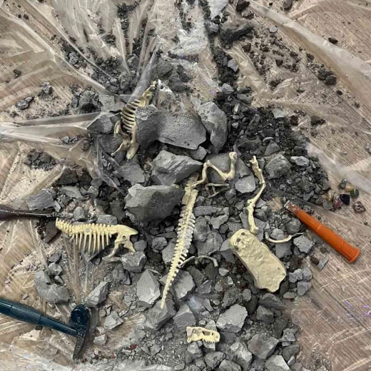 Dinosauruse arheoloogilised väljakaevamised