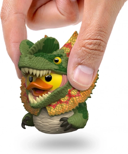 Ideal for collectors and your workspace