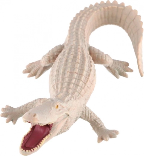 Hariduslik väärtus haruldase värvuse kohta