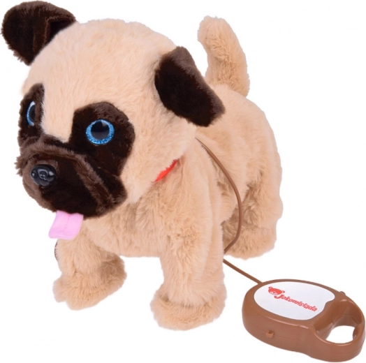 Rihm nuppudega interaktiivseks juhtimiseks