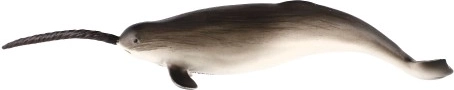 Realistic details of the sea unicorn