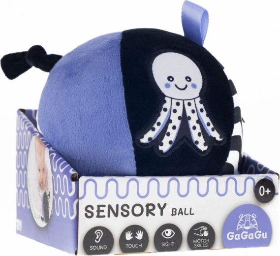 Supports motor skills and coordination