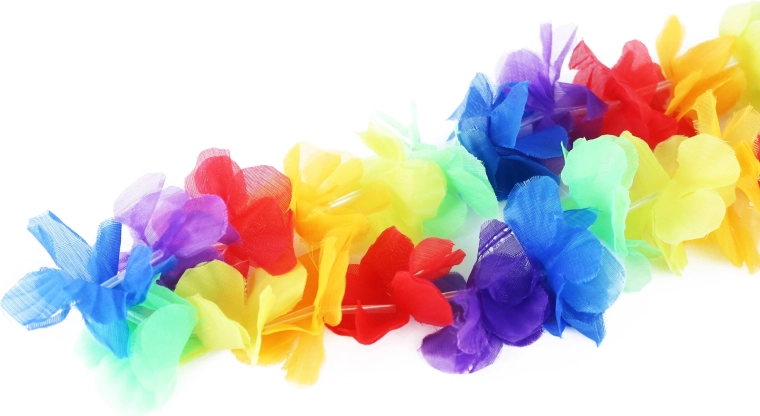 Ideaalne pidudeks ja üritusteks