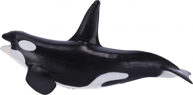 Educational and collectible