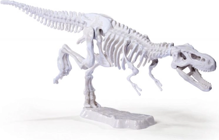 Detailed Dinosaur Models