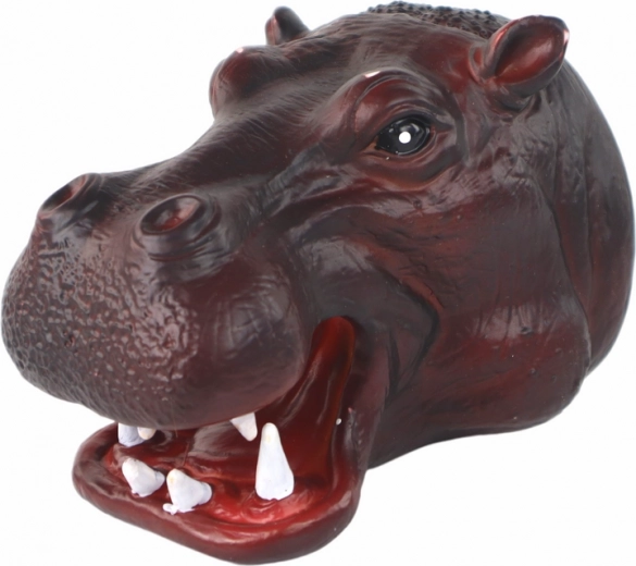 A realistic look that entertains and teaches
