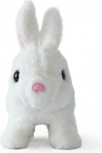 Adorable companion for every day
