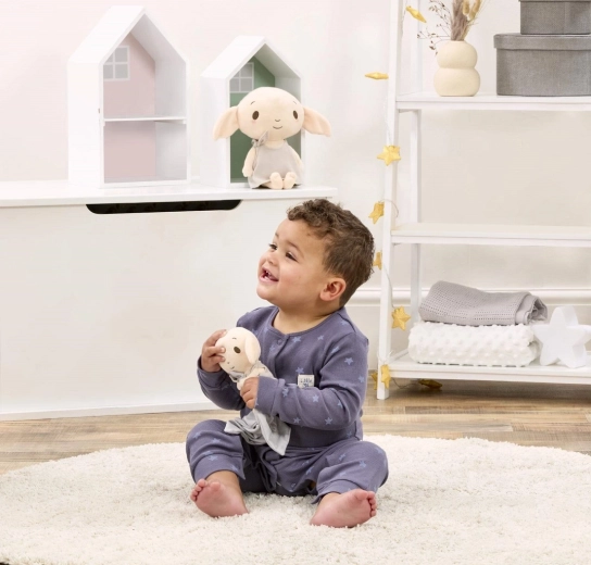 Armastatud Harry Potteri motiiv