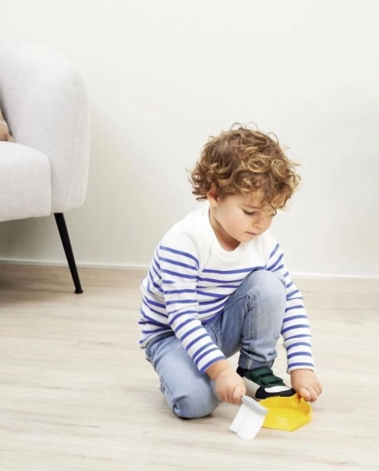 Dustpan and brush