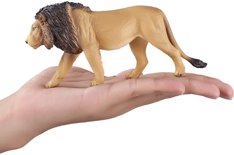 Lion King of Africa
