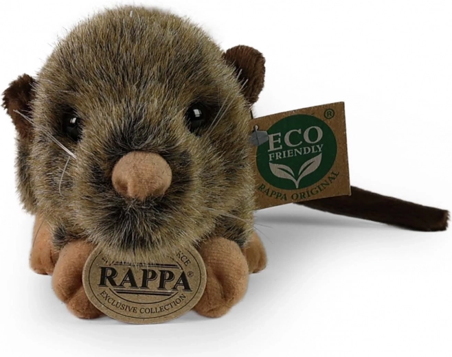 Ohutu alates sünnist