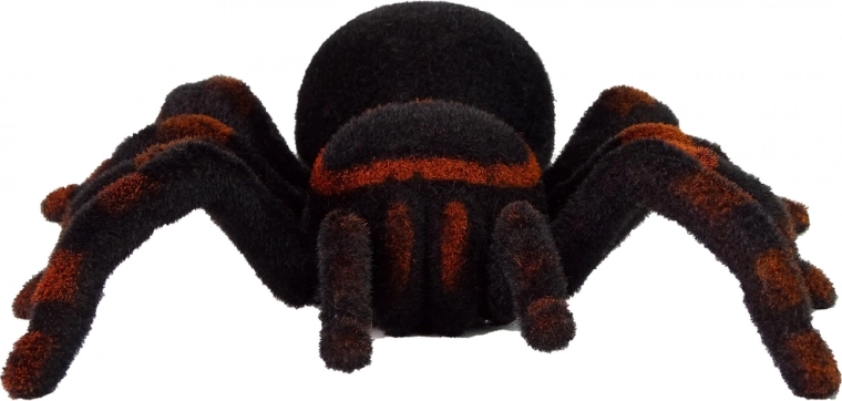 Realistic spider design
