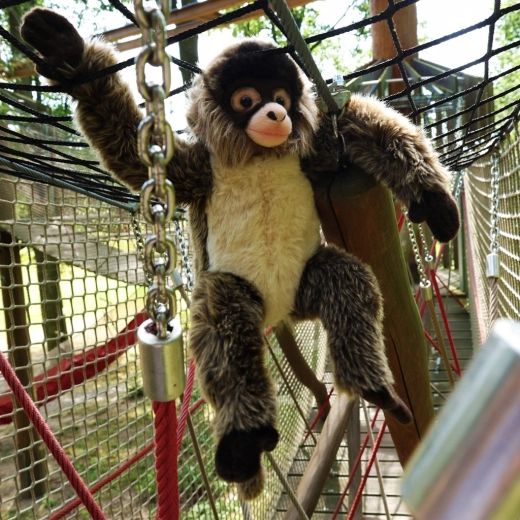 Sobilik kõige pisematele