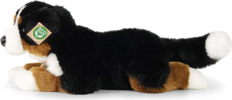 Berni alpi karjakoera realistlik teostus