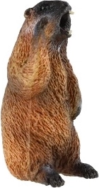 Hariv ja dekoratiivne kasutus