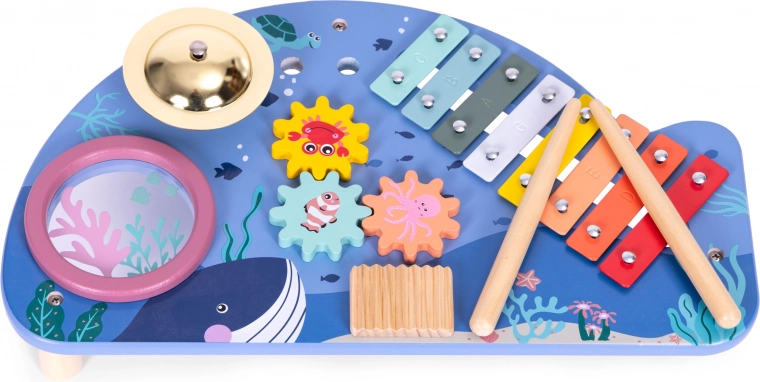 Mitmekülgsed muusikainstrumendid