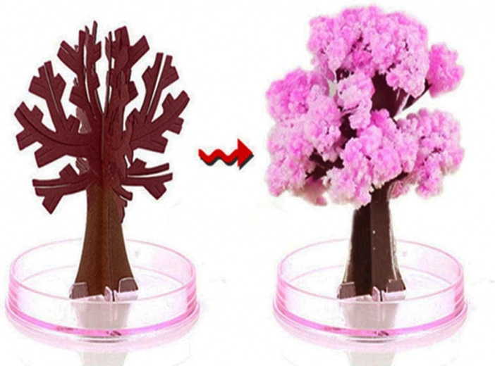 Kohene õitsemisefekt