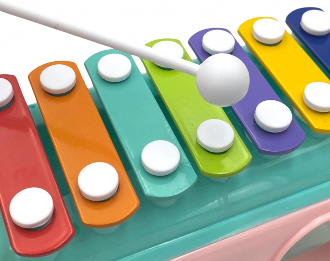 Muusikaline lõbu ksülofoniga