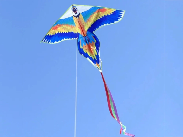 Stabiilne lend pika sabaga