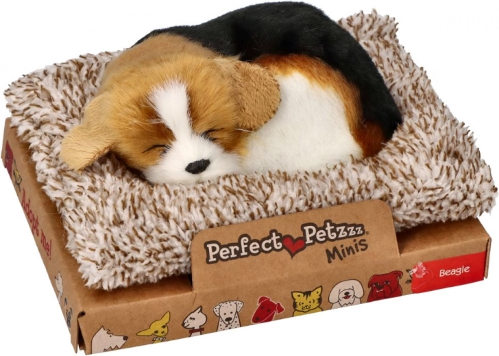 Kompaktne ja kingituseks sobiv pakend