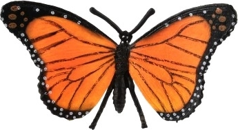 Realistlikud värvid ja tiibade muster