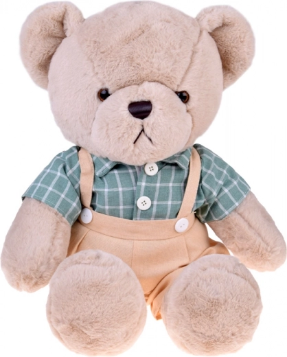 Stiilne särk retro-ruudus