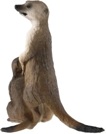 Kompaktne suurus 8 cm