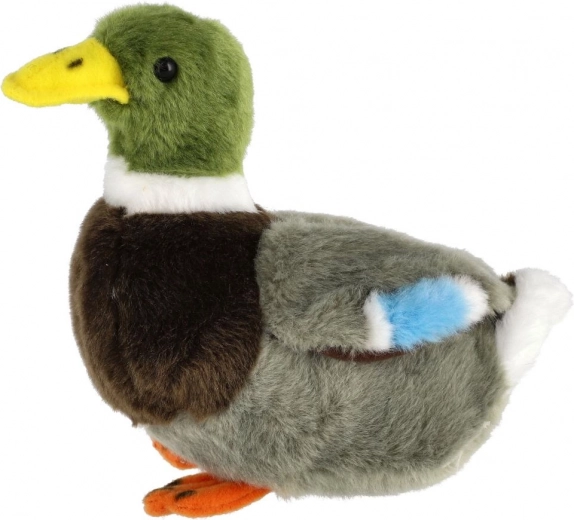 Pehme ja turvaline esimesest päevast