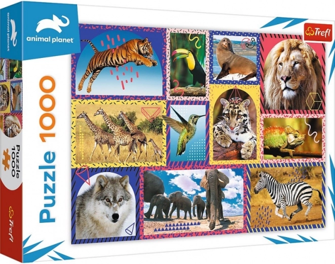 Vibrant collage of wild animals