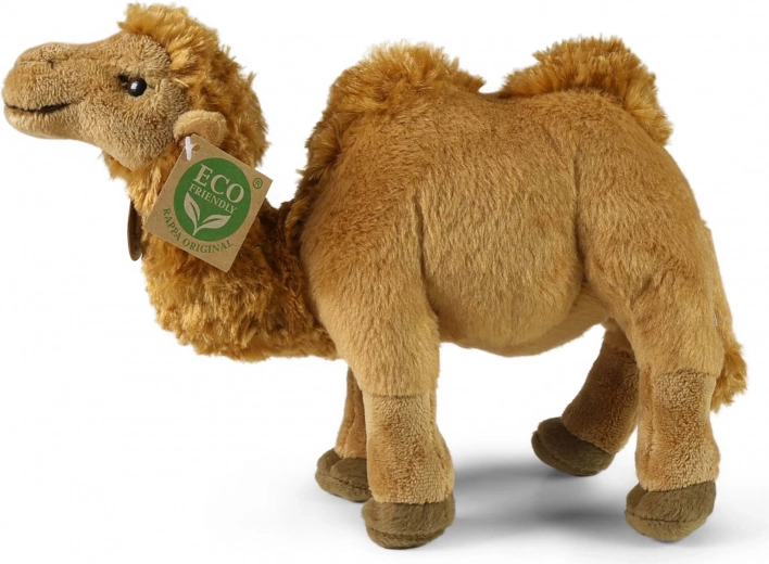 Ohutu alates sünnist