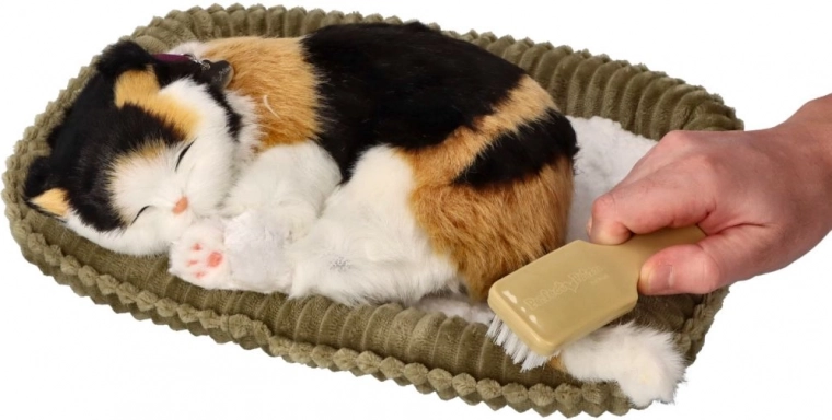 Lihtne hooldus ja õrn harjamine