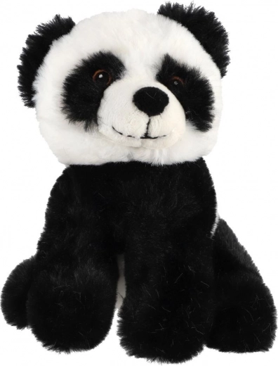 Turvaline teostus alates sünnist