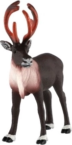 Stabiilne asend ja universaalne kasutus