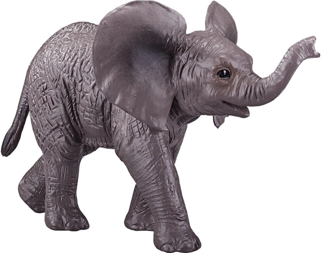 Impressive Elephant