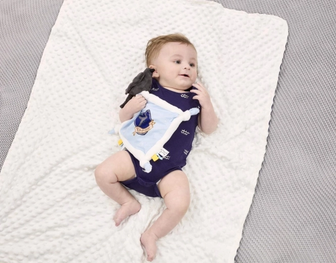 Kodaüksuse vapp väikestele fännidele