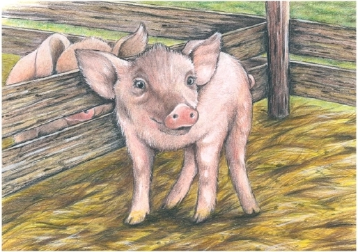 Lemmikmotiiv: põrsake