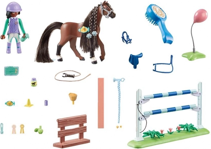 Styleable mane and tail