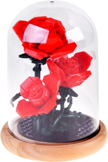 Stabiilne kuppel puidust alusega